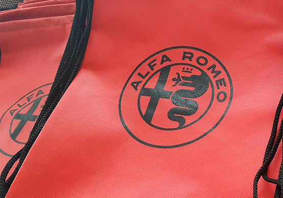 Alfa_romeo_1.png
